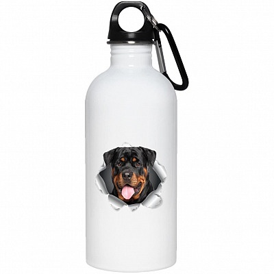 20 oz. Stainless Water Bottle