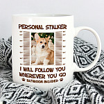 44 HG_ Personal Stalker MOCKUP1