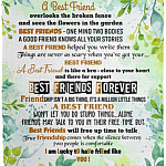 I Am Lucky To Have Friend Like You Blanket, White, Cozy Plush Fleece Blanket - 50x60