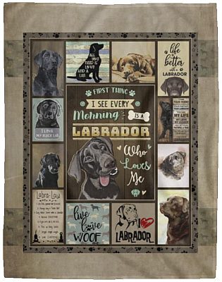 Cozy Plush Fleece Blanket - 60x80
