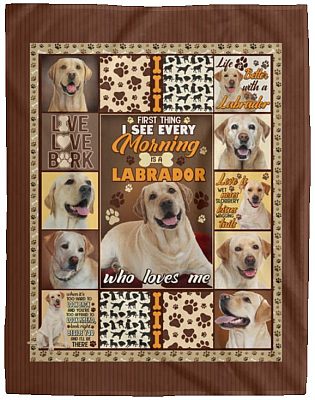 Cozy Plush Fleece Blanket - 60x80