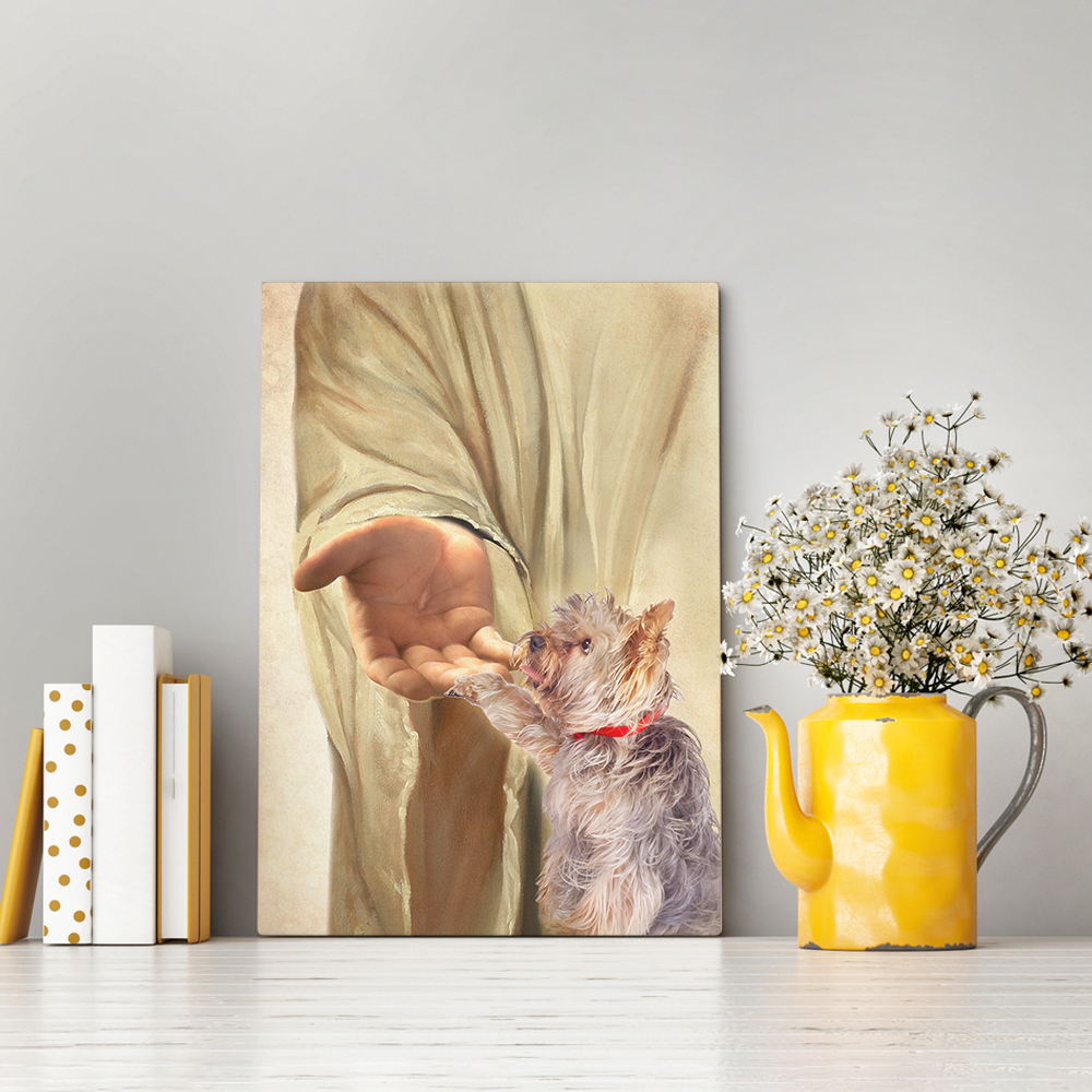 4BN. Jesus Yorkie mk1