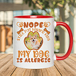 2O. Dog Allergic-Mockup 2