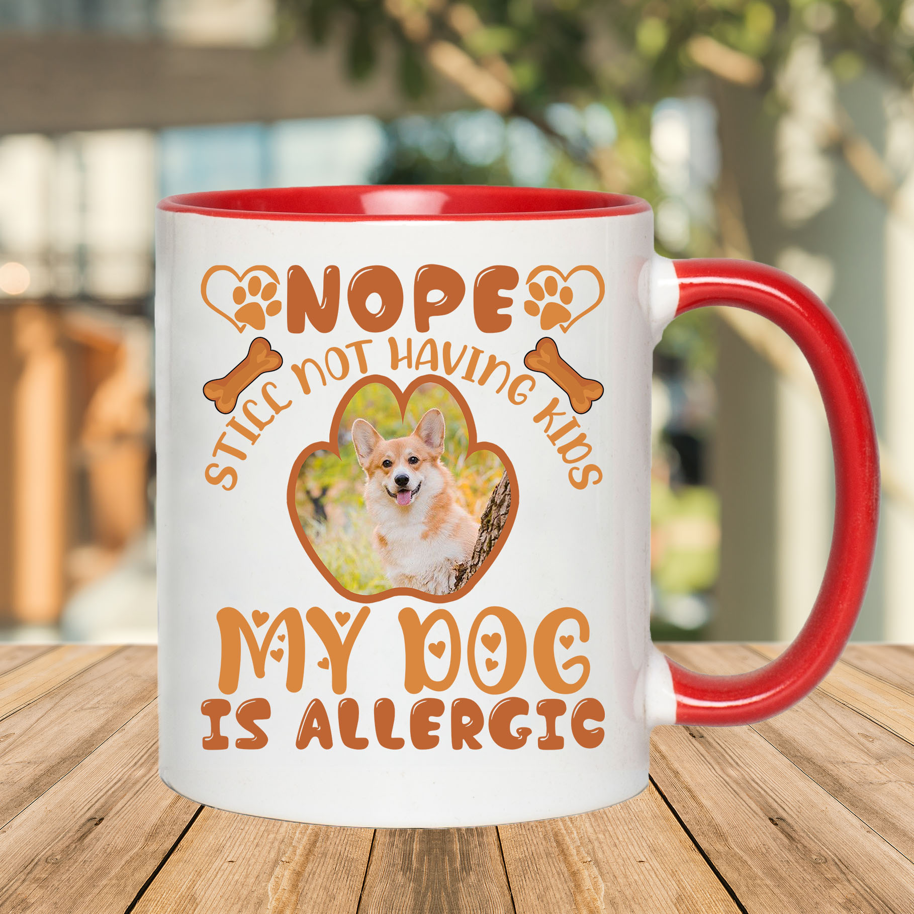 2O. Dog Allergic-Mockup 2