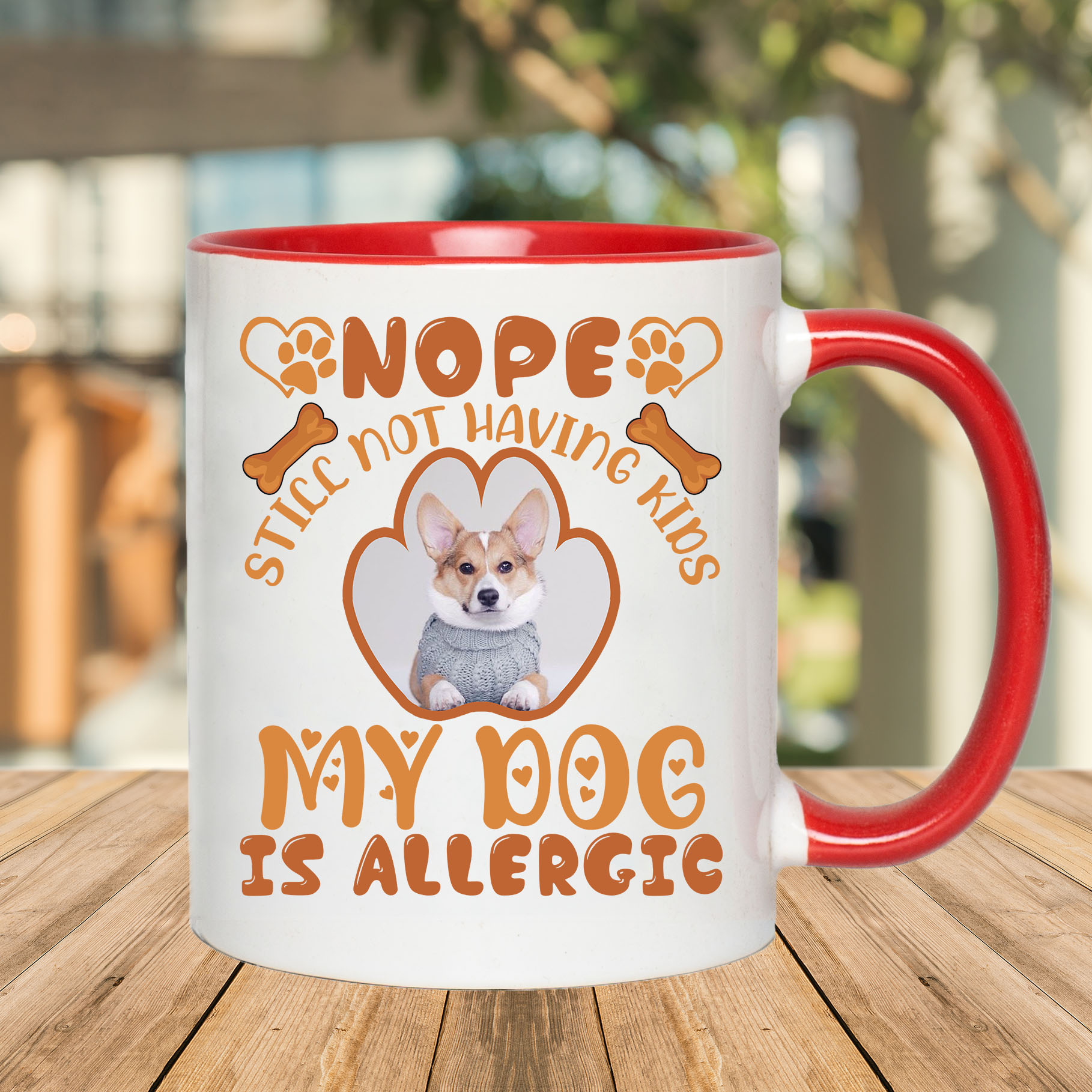 2O. Dog Allergic-Mockup 3