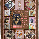 I Asked God For A True Friend, White, Cozy Plush Fleece Blanket - 50x60