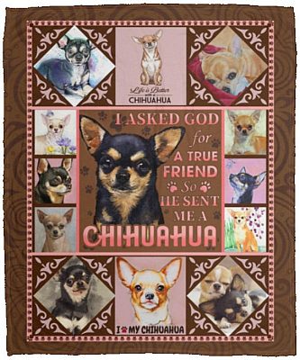 I Asked God For A True Friend, White, Cozy Plush Fleece Blanket - 50x60