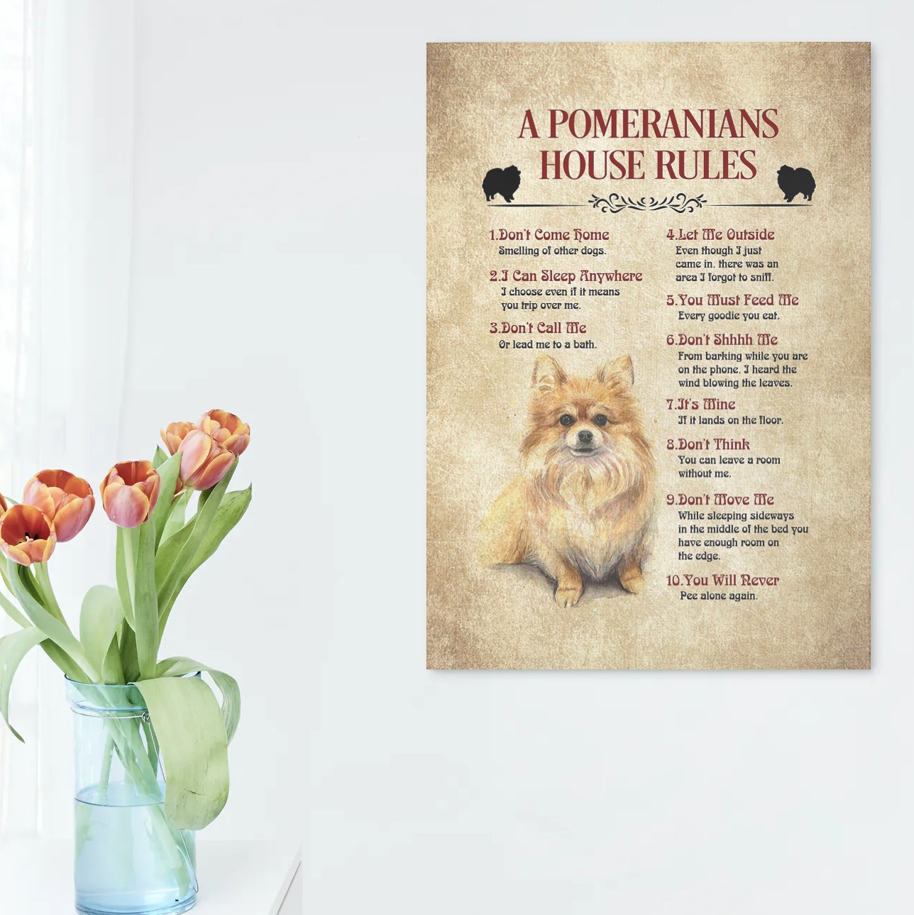 A Pomeranian House Rule Poster Canvas