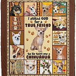 I Asked God For A True Friend Blanket, White, Cozy Plush Fleece Blanket - 50x60