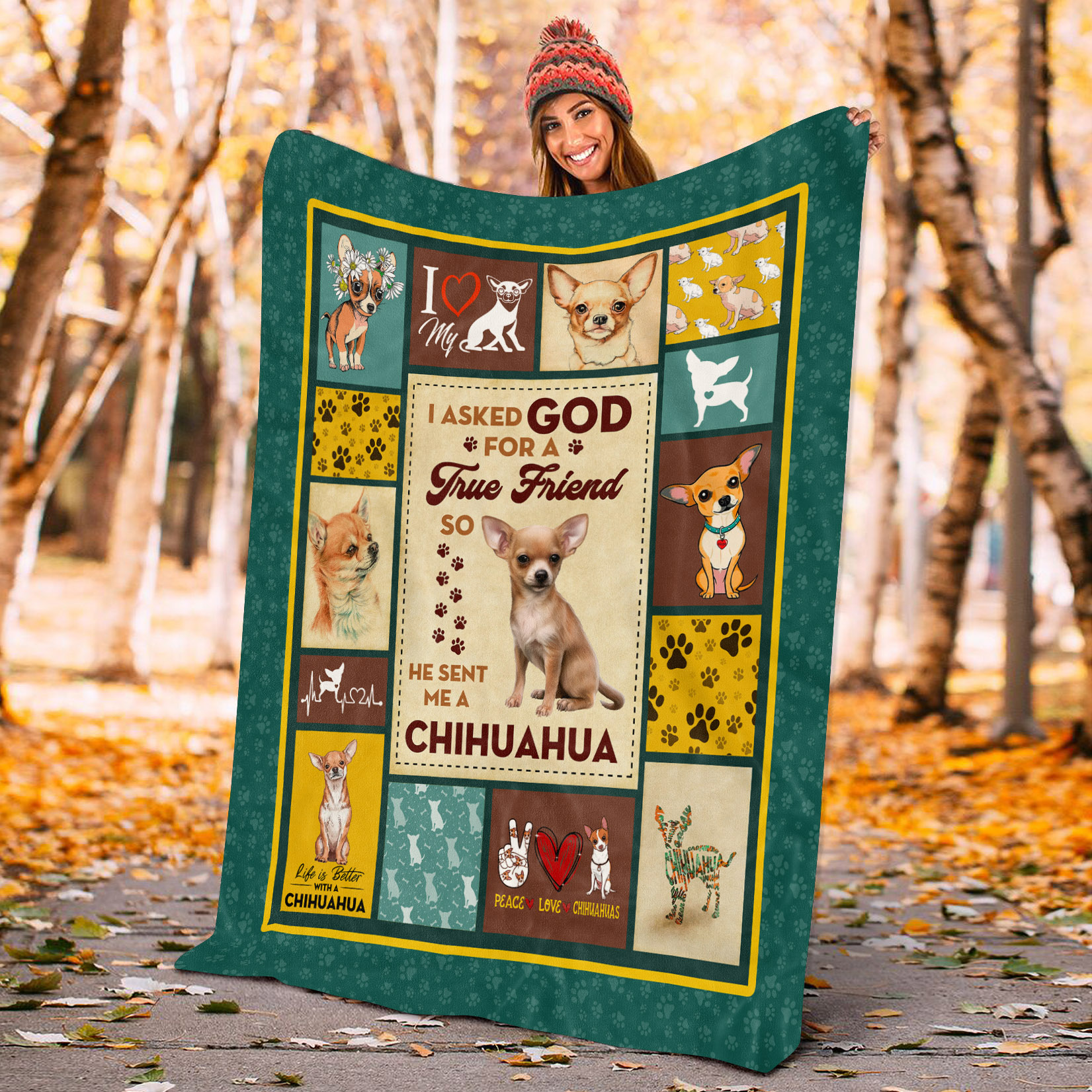 91 HG uu tien_ True Friend Chihuahua (14) 2