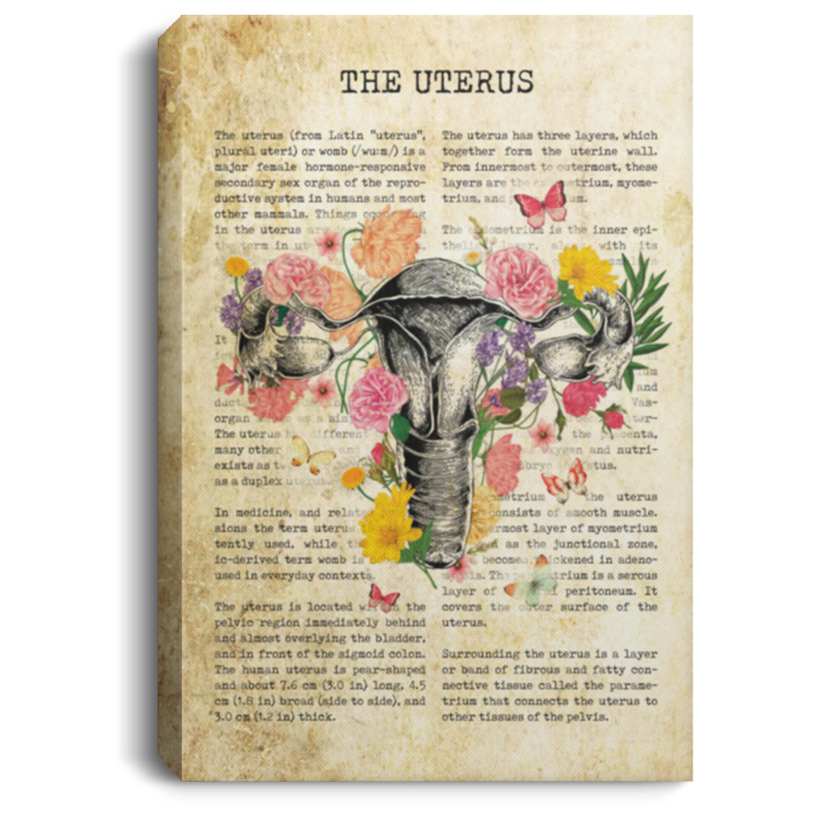 Uterus Gallery Wrapped Framed Canvas Prints-Unframed Poster-Female Reproductive System Home Decor Wall Art, White, 0.75'' Framed Canvas Uterus Gallery Wrapped Framed Canvas Prints-Unframed Poster-Female Reproductive System Home Decor Wall Art, White, 0.75'' Framed Canvas