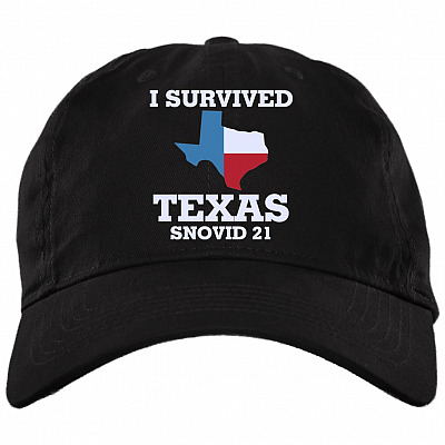 Brushed Twill Dad Cap