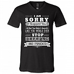 I Am Sorry I Slapped You I Panicked T-Shirt, Black, V-Neck T-Shirt