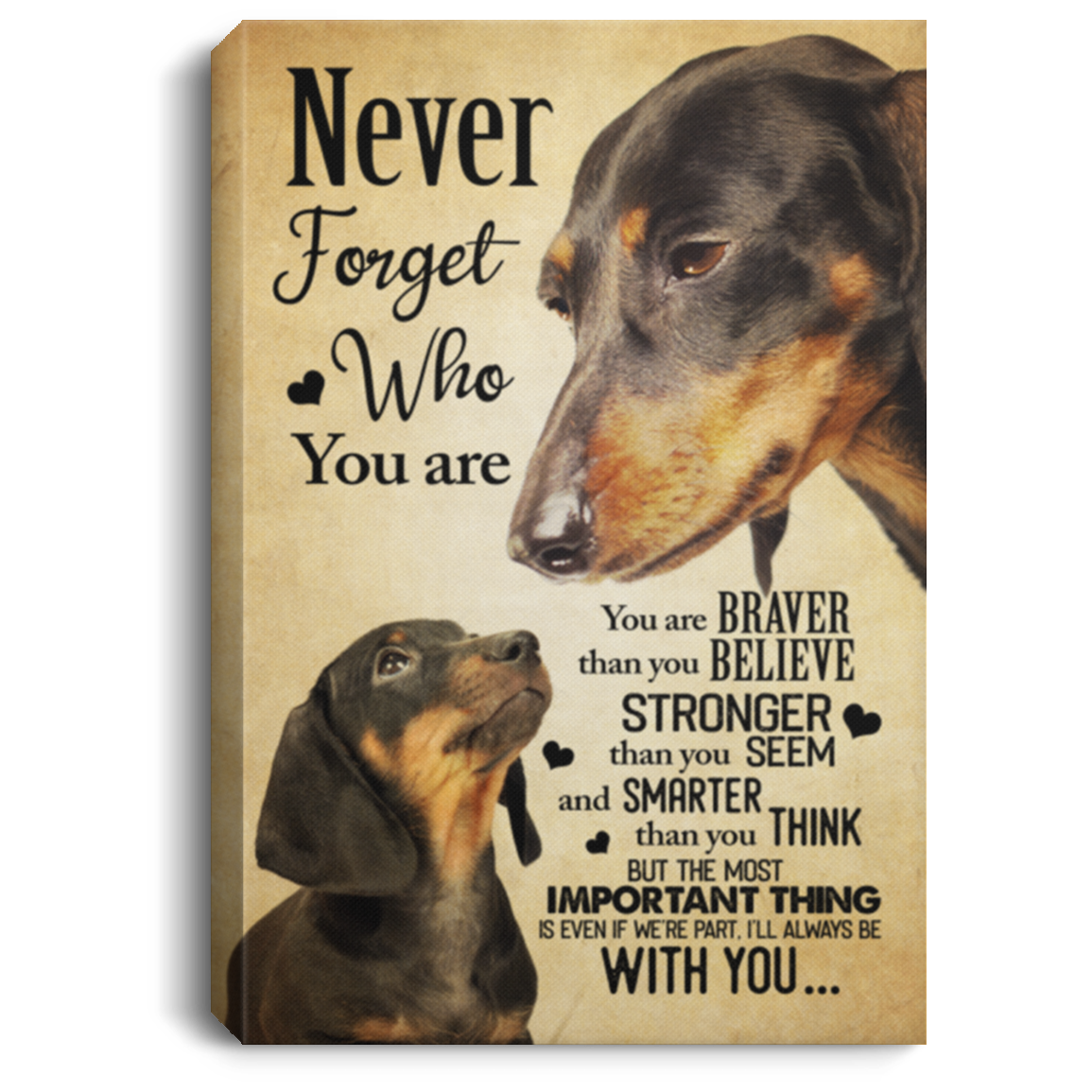Dachshund Never Forget That Who You Are You Are Braver Gallery Wrapped Framed Canvas Prints - Unframed Poster, White, 0.75'' Framed Canvas Dachshund Never Forget That Who You Are You Are Braver Gallery Wrapped Framed Canvas Prints - Unframed Poster, White, 0.75'' Framed Canvas