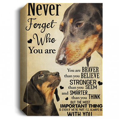 1.5'' Deluxe Canvas