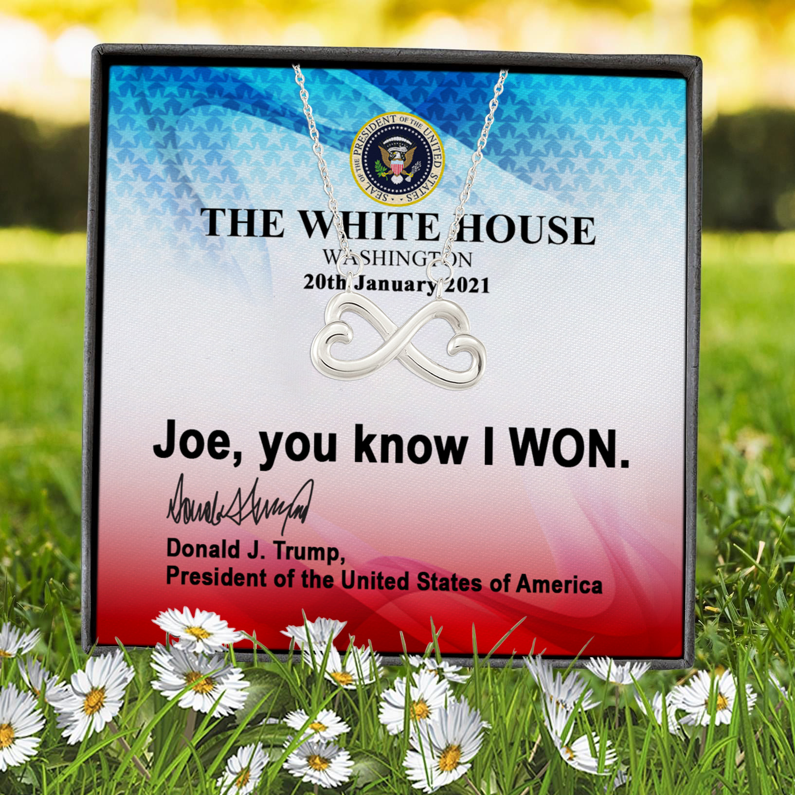 11VT. Joe You Know I Won Trump Infinity Heart Necklace (Silver) 7