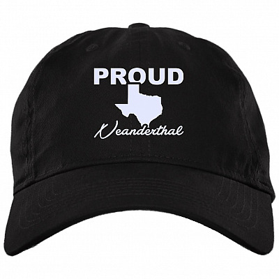 Brushed Twill Dad Cap
