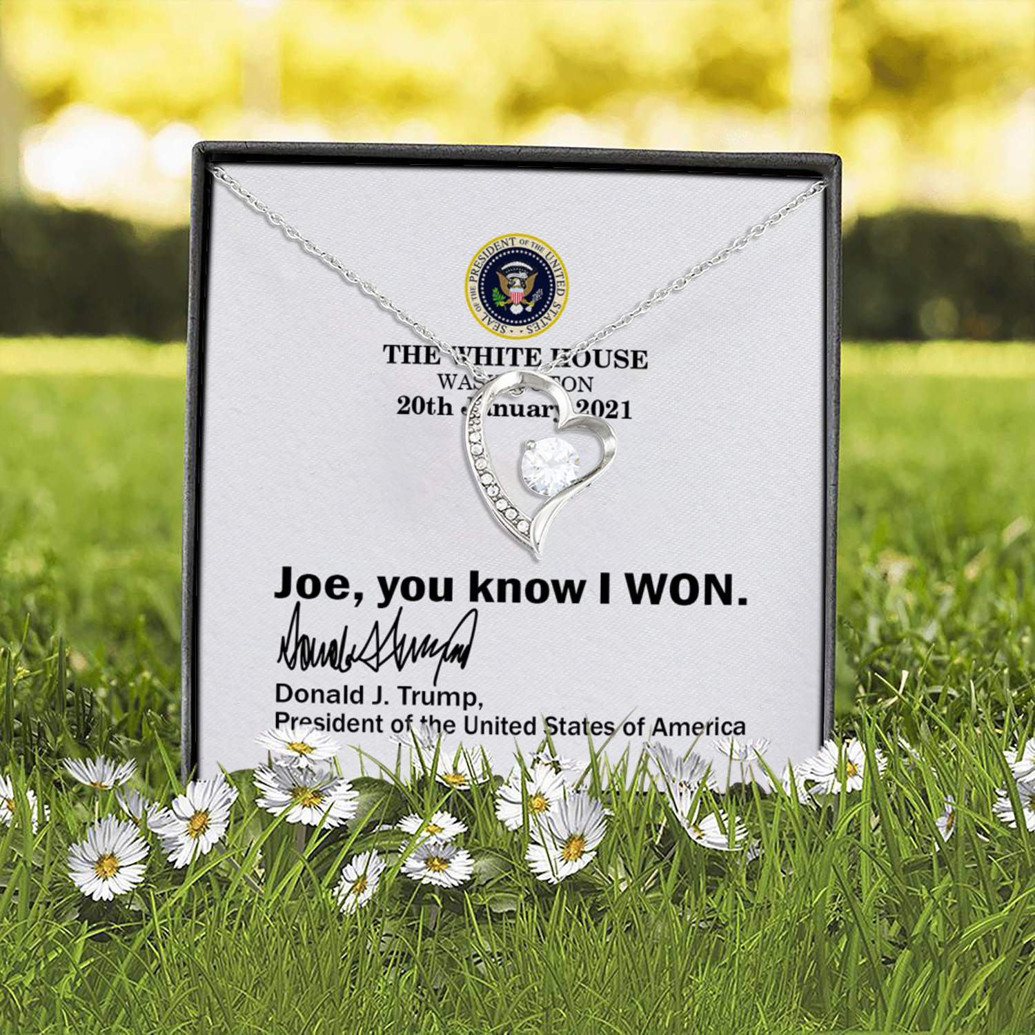 2O. Know You Won card (4) Forever Love Necklace (Silver) 2