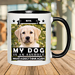 4O. Asshole Dog_1