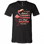 My Spirit Animal Is A Grumpy, Black, V-Neck T-Shirt