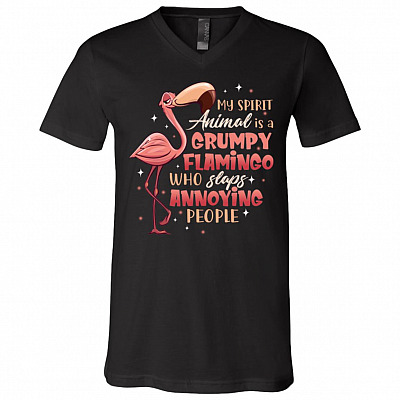 My Spirit Animal Is A Grumpy, Black, V-Neck T-Shirt