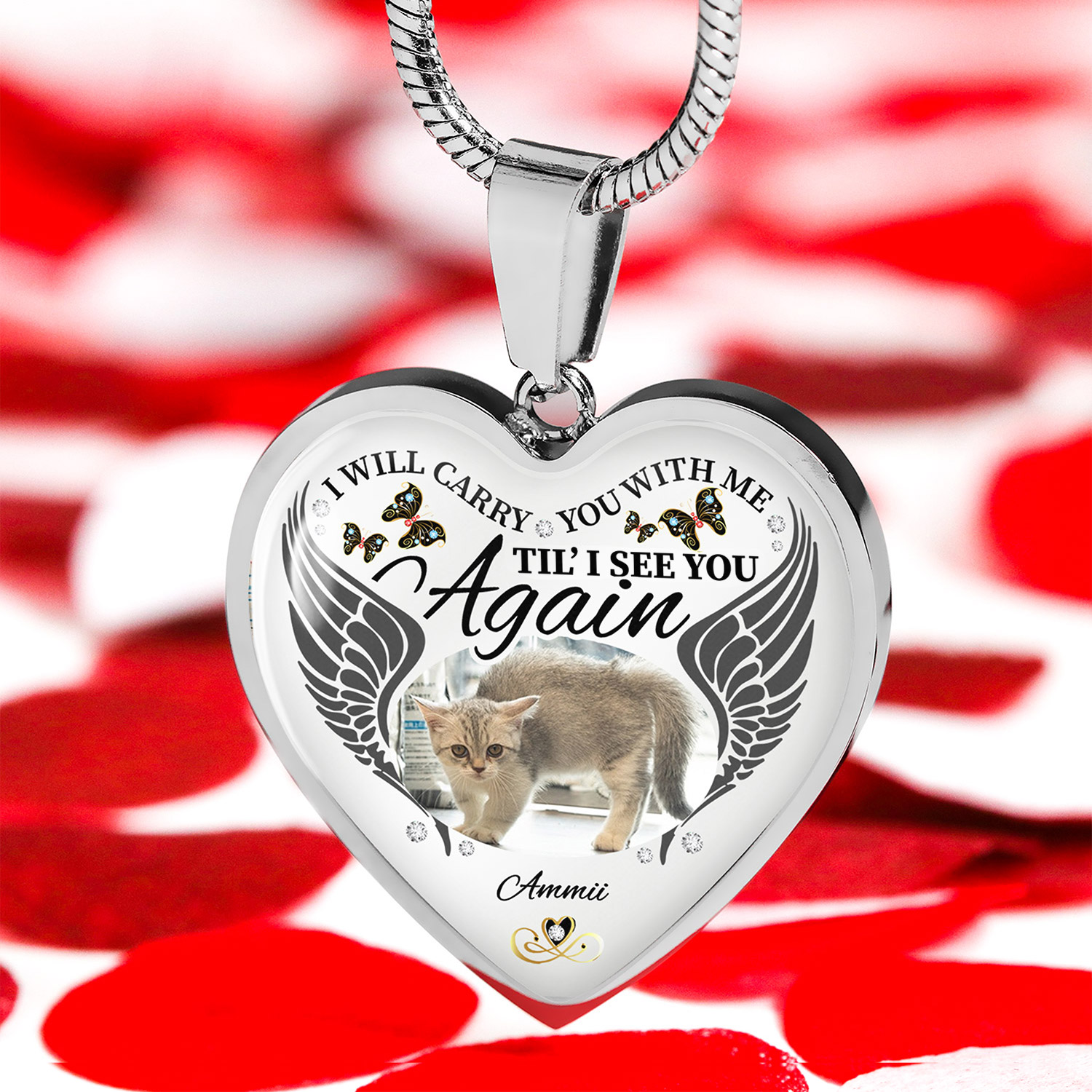 5VT. Pet I Will Carry You With Me_1