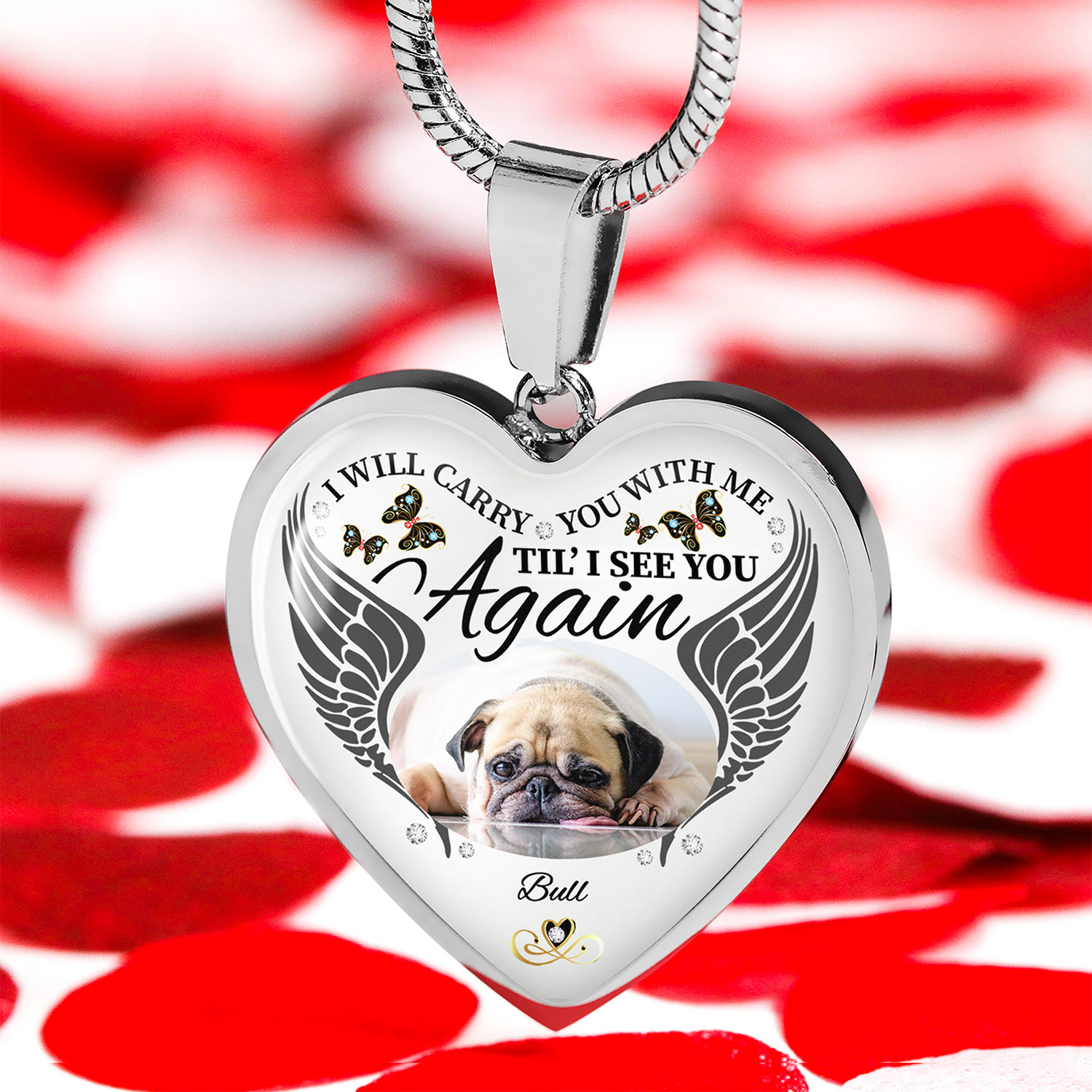 5VT. Pet I Will Carry You With Me_2