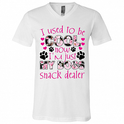 I Used To Be Cool Now I' T-Shirt, White, V-Neck T-Shirt