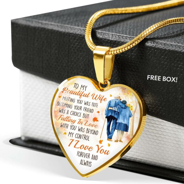 To My Beautiful Wife Meeting You Was Fate Becoming Your Friend Was a Choice Old Couple Heart Pendant Necklace