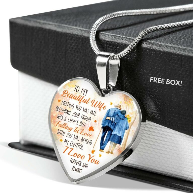 To My Beautiful Wife Meeting You Was Fate Becoming Your Friend Was a Choice Old Couple Heart Pendant Necklace