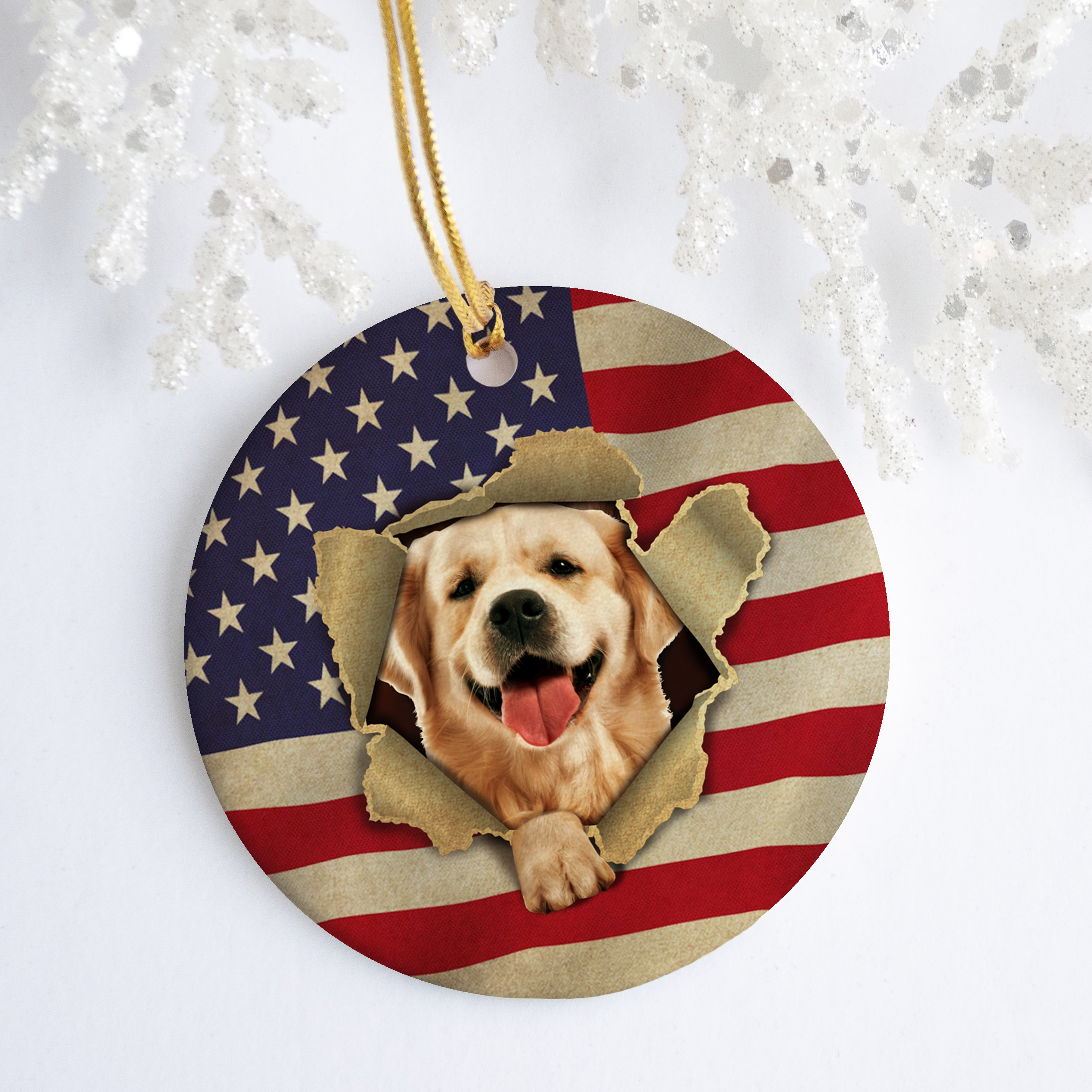 5LV. Cat American Flag dog mk