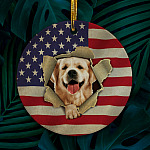 5LV. Cat American Flag dog mk2