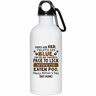 20 oz. Stainless Water Bottle