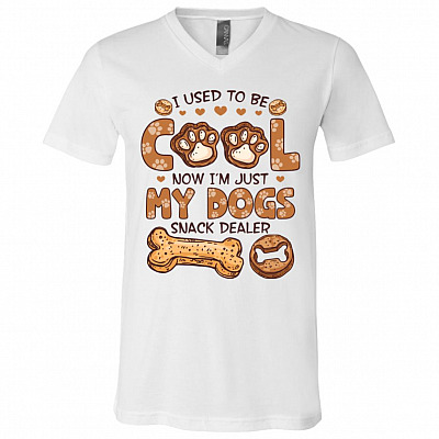 V-Neck T-Shirt