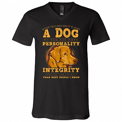 V-Neck T-Shirt