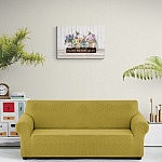 Eclectic_living_room_with_tropical_plants (1)