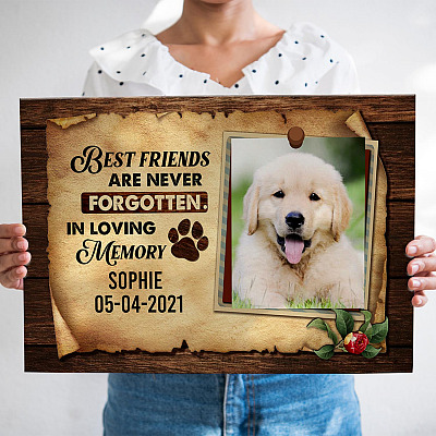 Personalized Photo Best Friends Are Never Forgotten In Loving Memory Pet Memorial Framed Canvas - Unframed Poster