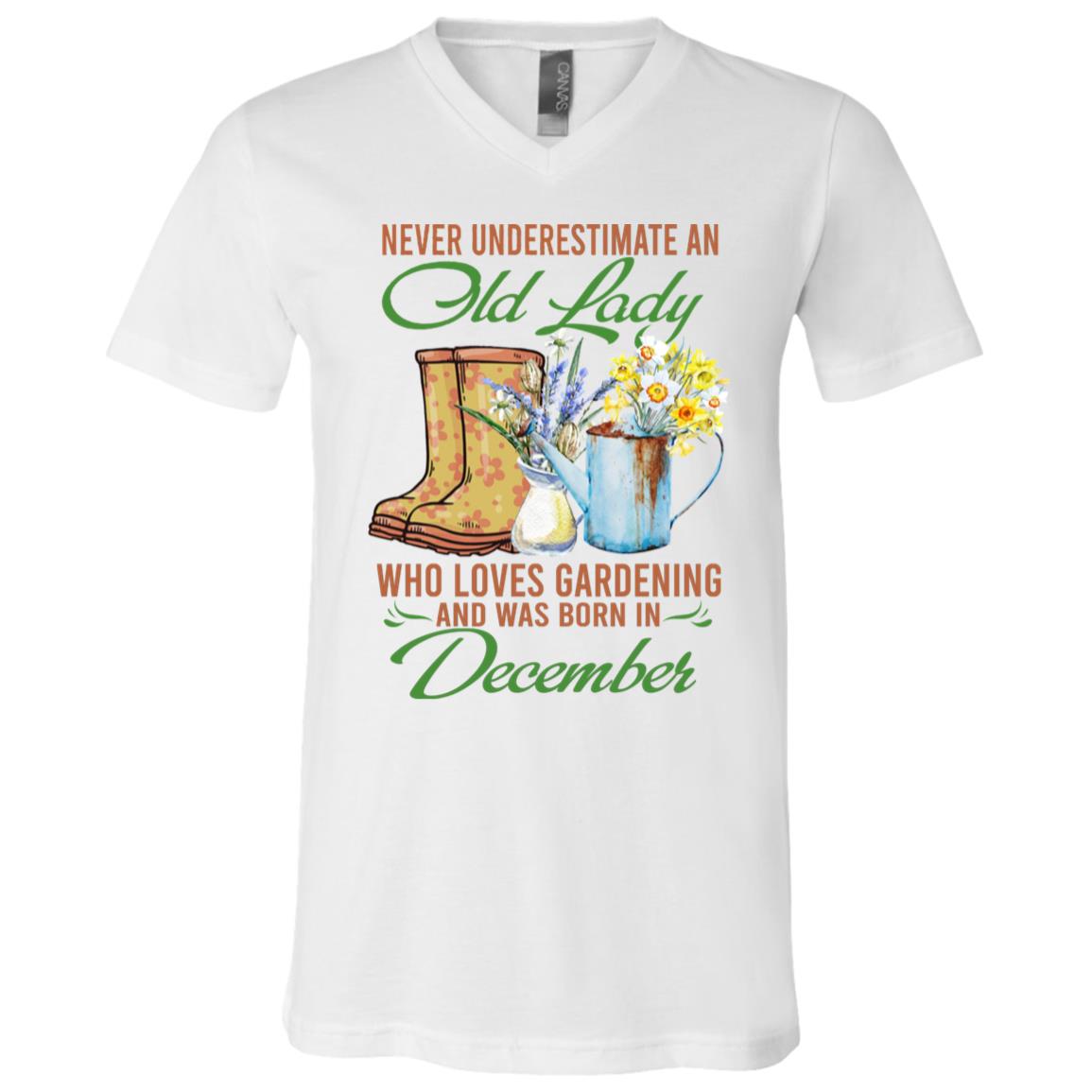 December Tshirt, White, V-Neck T-Shirt