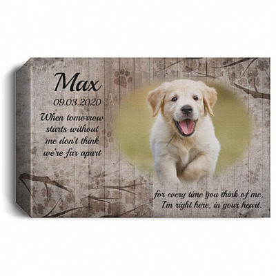 1.5'' Deluxe Canvas