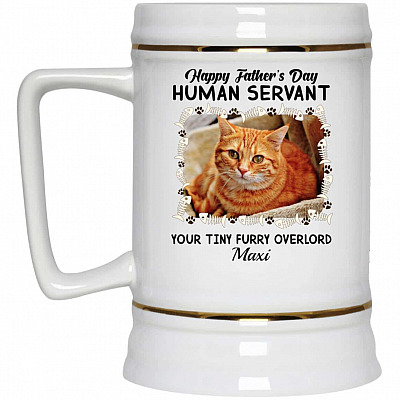 22 oz. Beer Stein