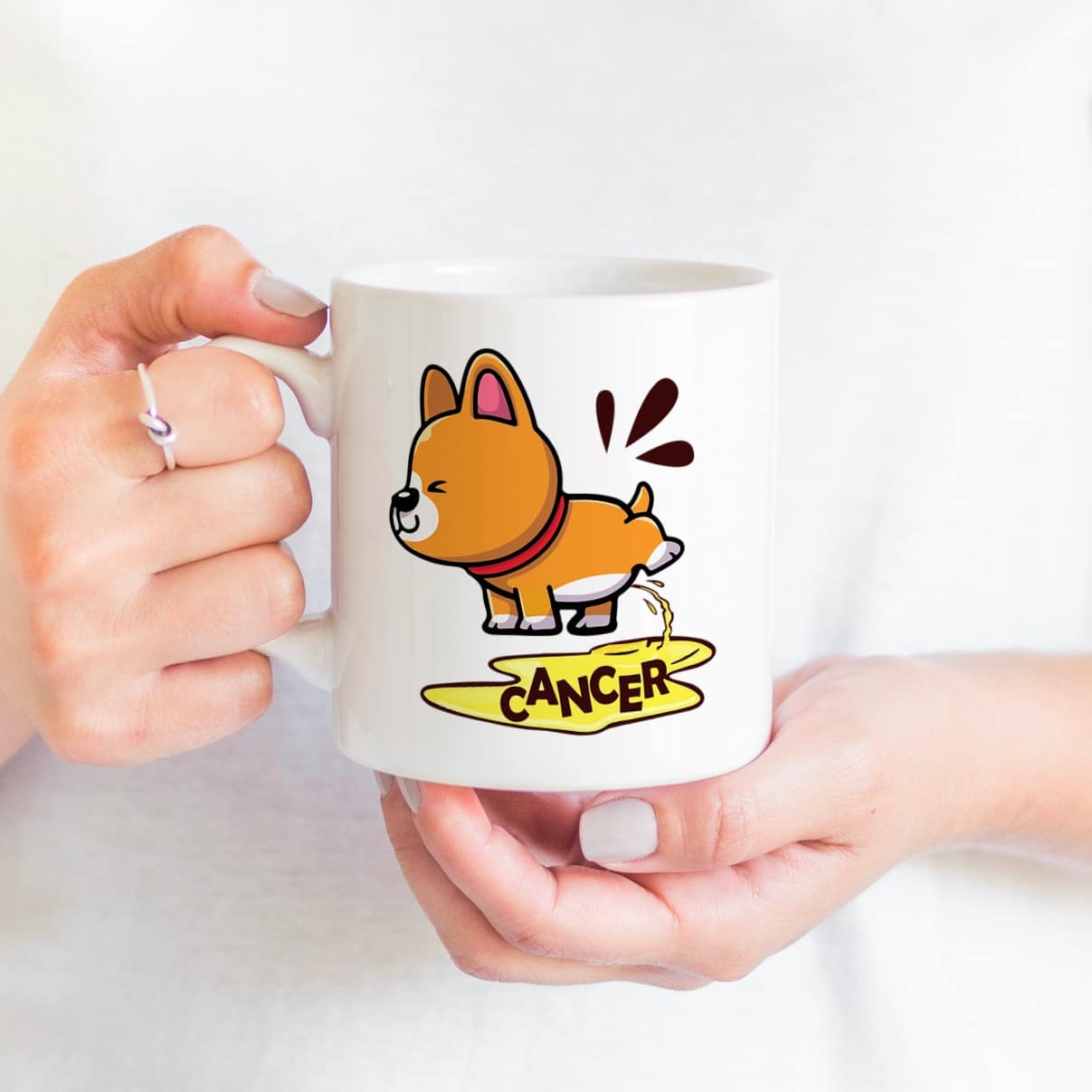 2NH. Cancer Corgi-corgi mk