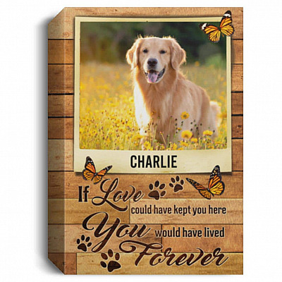 1.5'' Deluxe Canvas
