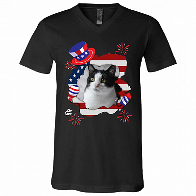 V-Neck T-Shirt