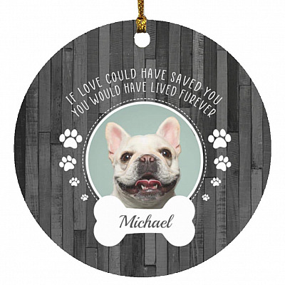 Circle Ornament