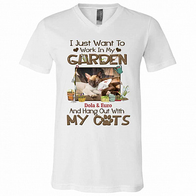 V-Neck T-Shirt