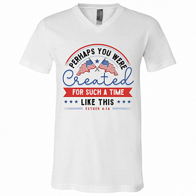 V-Neck T-Shirt