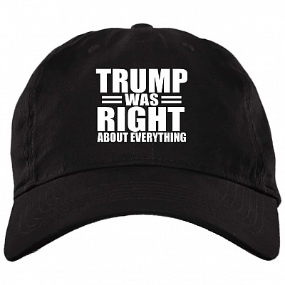Brushed Twill Dad Cap