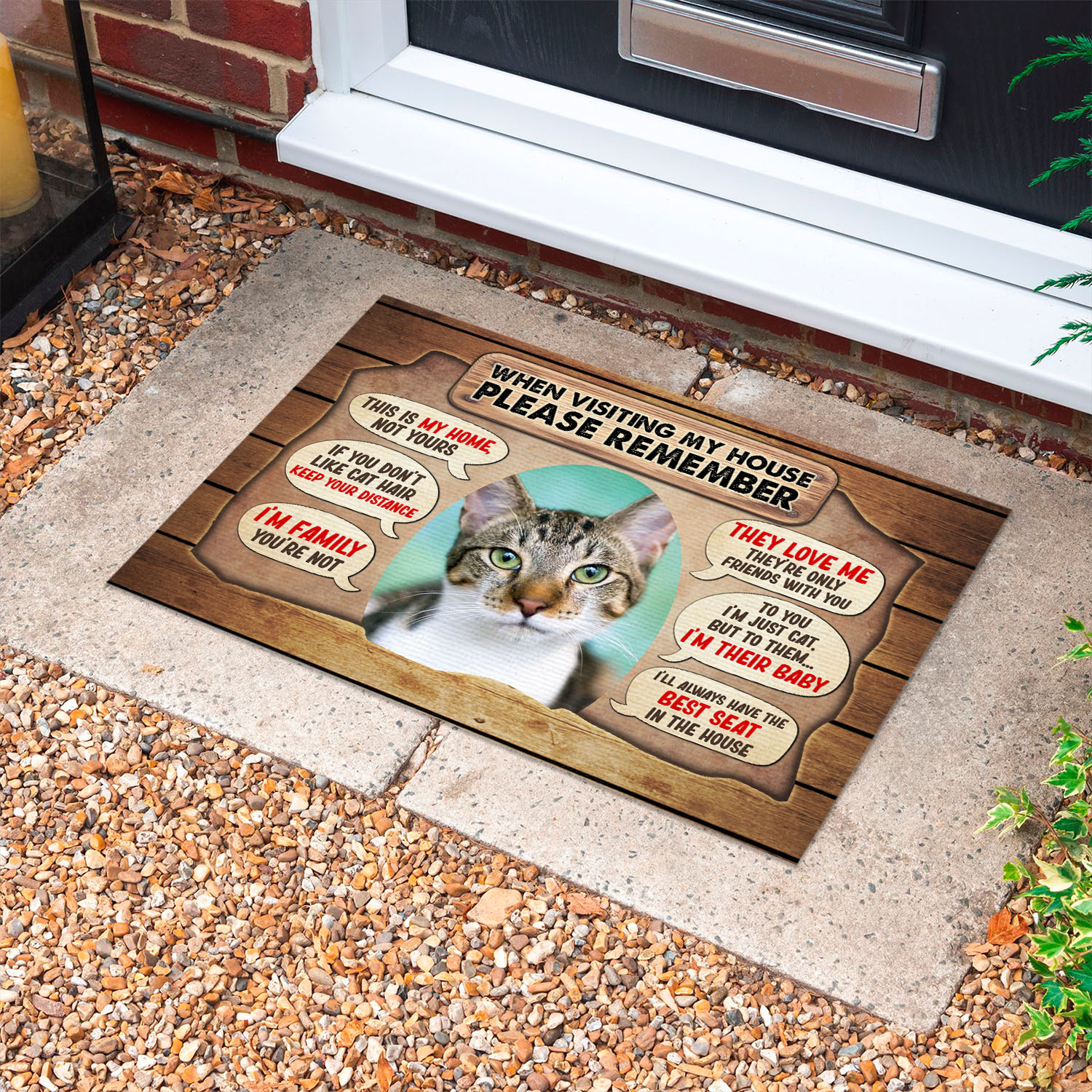 1VT. Cat When Visiting My House(Sample Design) Doormat mockup 10