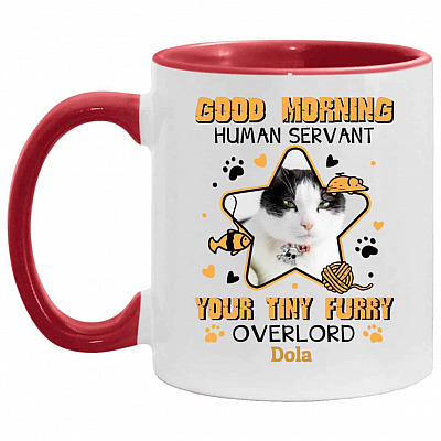 11 oz. Accent Mug