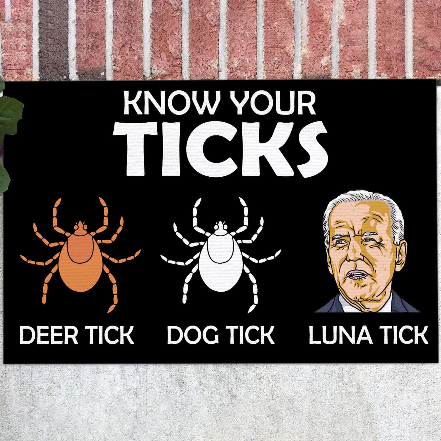 30 HG UU TIEN. Know Your Ticks (3) Doormat Mockup 12